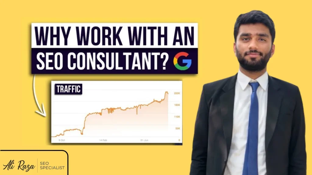 Why work with an SEO consultant? Ali Raza